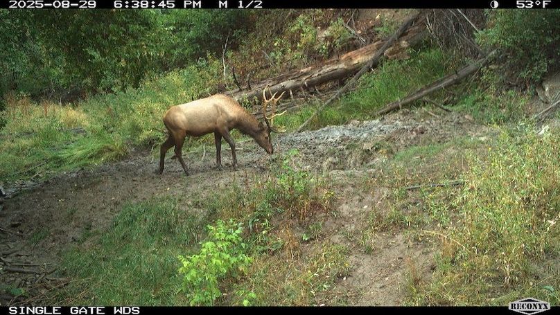 040798E2-4CC1-40C4-B003-5591455BCD60