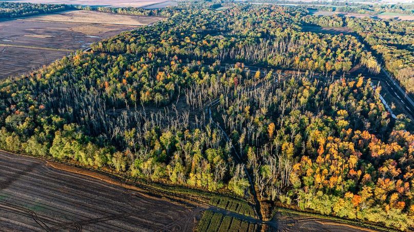 DJI_20251030190844_0004_D