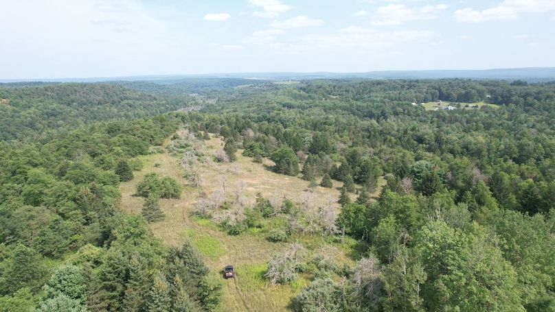 dji_fly_20250804_154606_497_1754355799159_photo