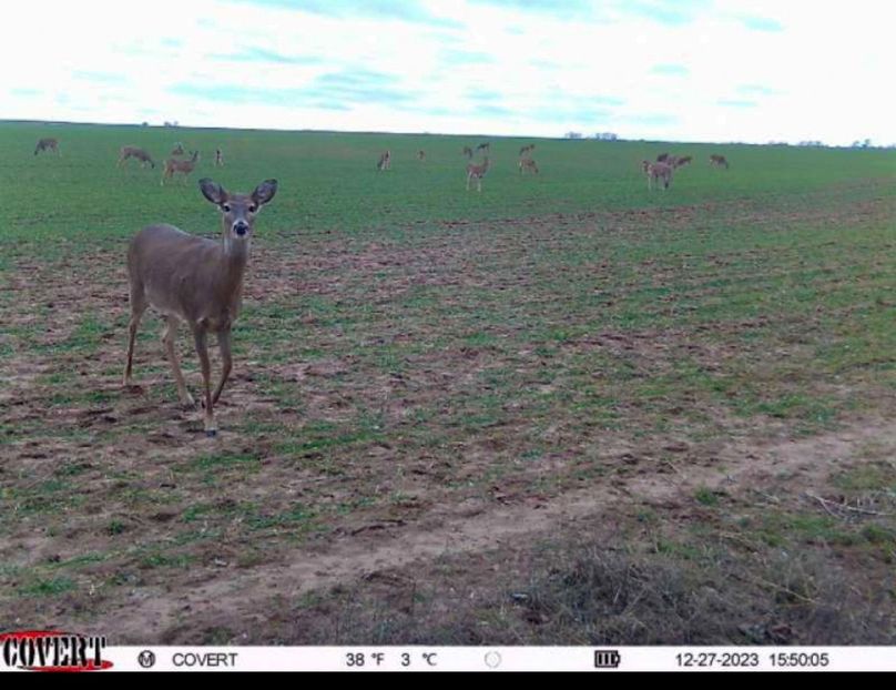 Screenshot_20231227_162933_CovertWireless