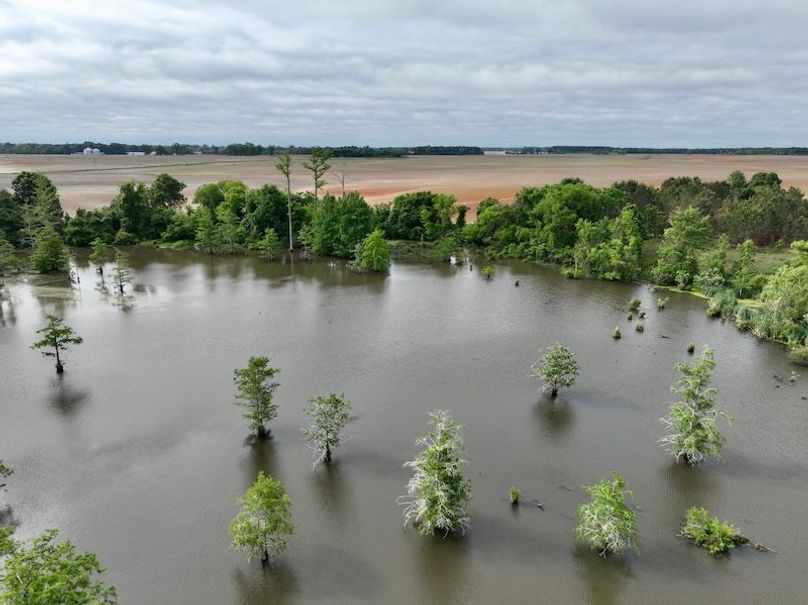 dji_fly_20260427_094208_578_1777300008117_photo
