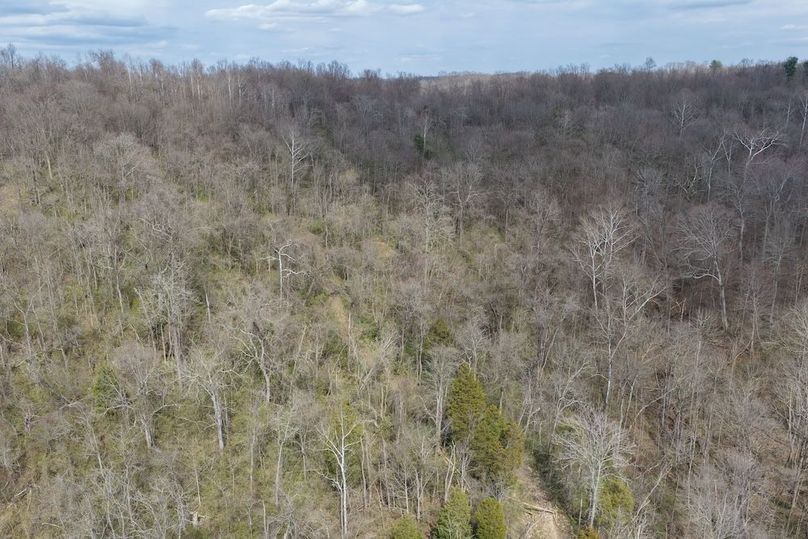 DJI_20260330150859_0006_D