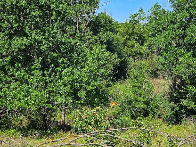 Copy of 20250729_111221