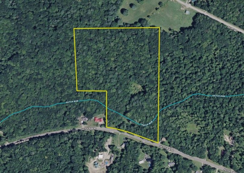 Screen Shot 2026-02-04 at 2.26.54 PM