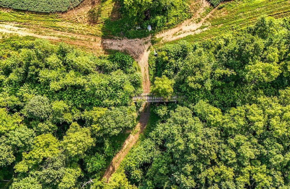 DJI_20250729080053_0092_D