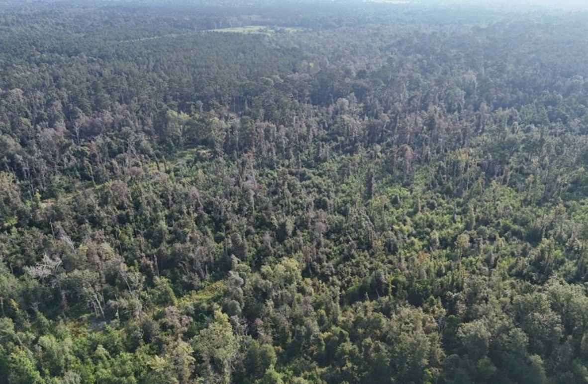 dji_fly_20250903_215836_0019_1756926955941_photo