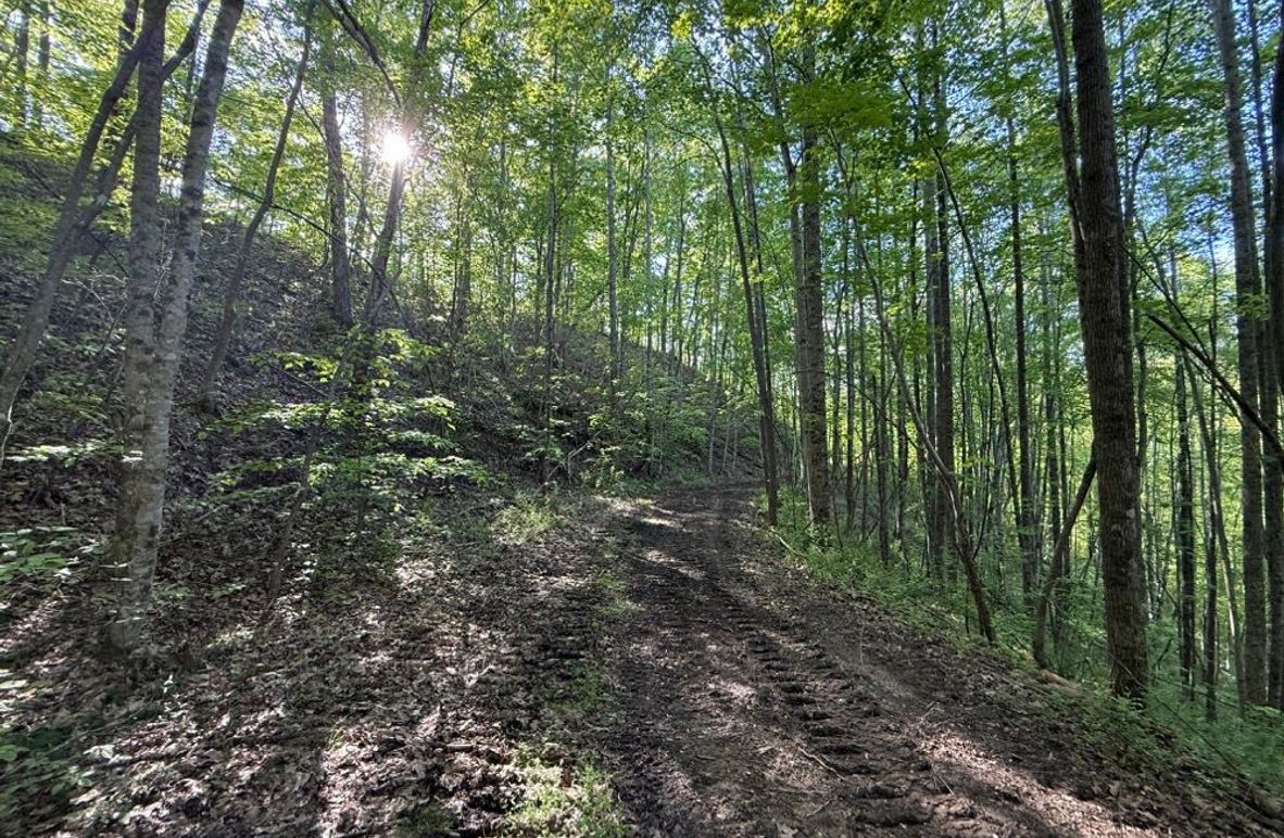 004 one of the network of trails leading about the northeast portion of the property