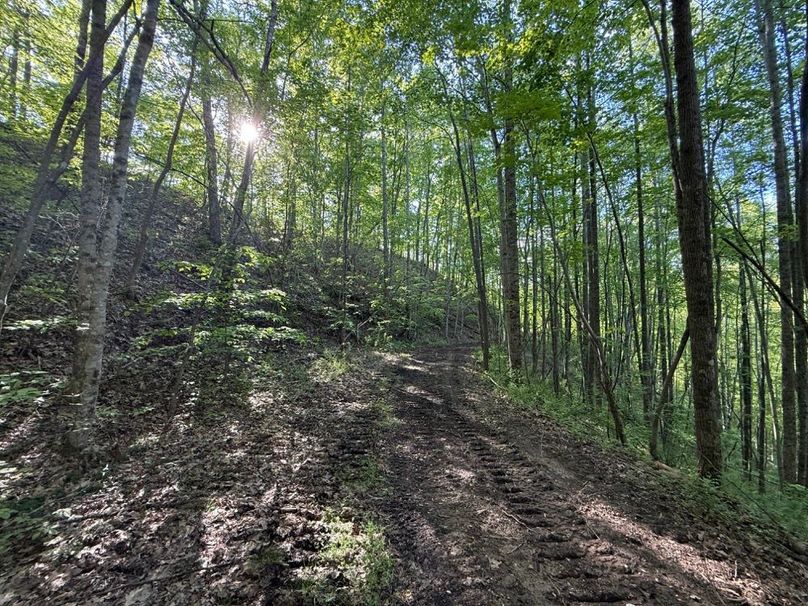 004 one of the network of trails leading about the northeast portion of the property
