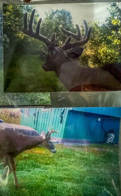 Clark 24.75 Winkel -09