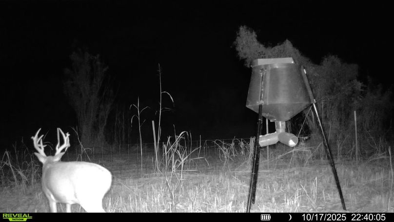 016578005692261-100-4-10172025224005-SYFW00256