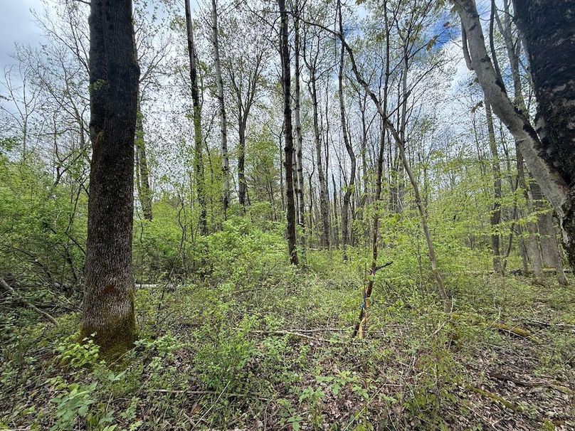 Tompkins_10.01_Llivichuzhca Photo 19
