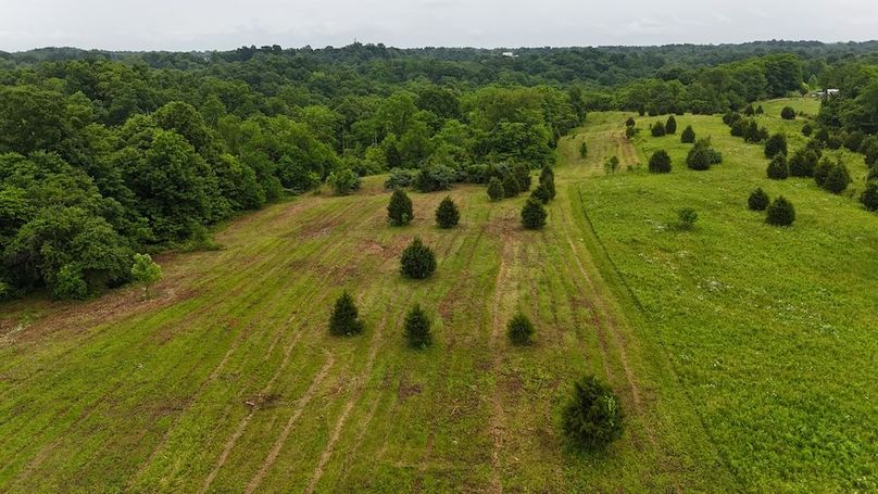 DJI_20250605125237_0605_D