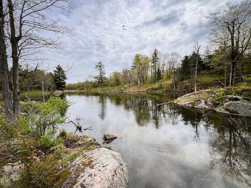 Jefferson_148.1_Flood_Photos_33