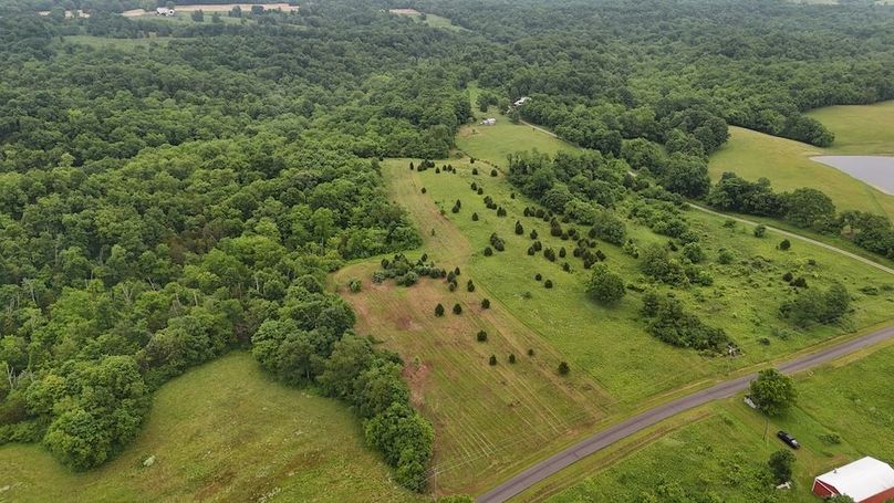 DJI_20250605124535_0591_D