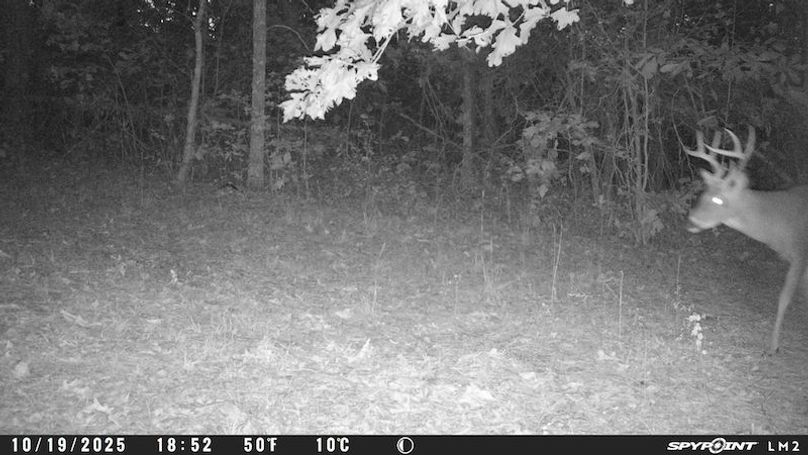 Spypoint_20251107_060454