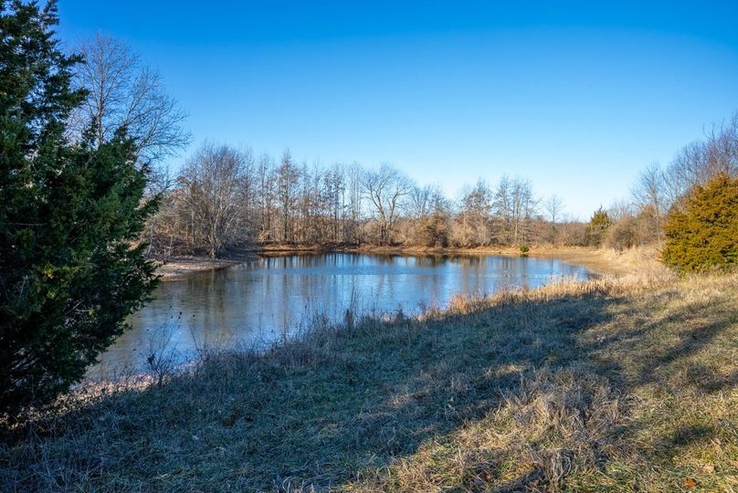 Copy of DSC00670 Large