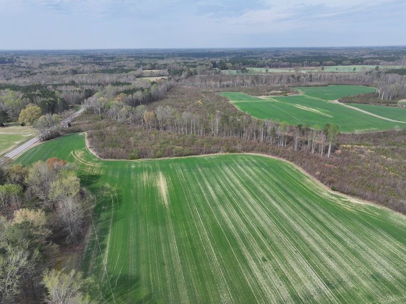 DJI_20260303062844_0524_D