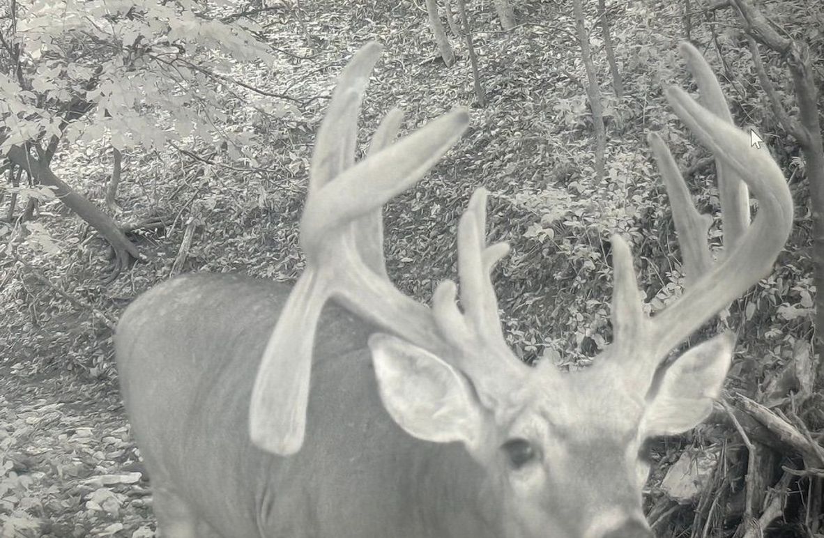 WORTH CO MO 537.44_2