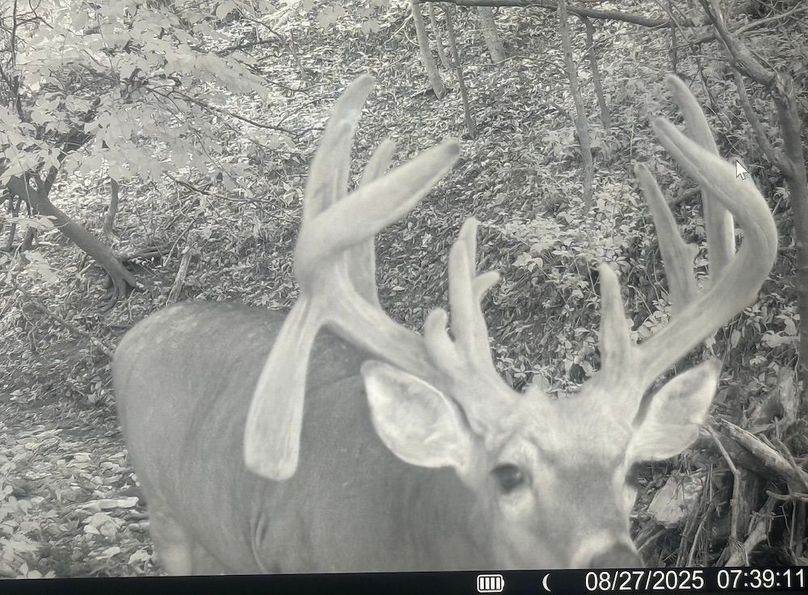 WORTH CO MO 537.44_2