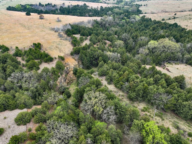 Washington, Co, 83.3_010