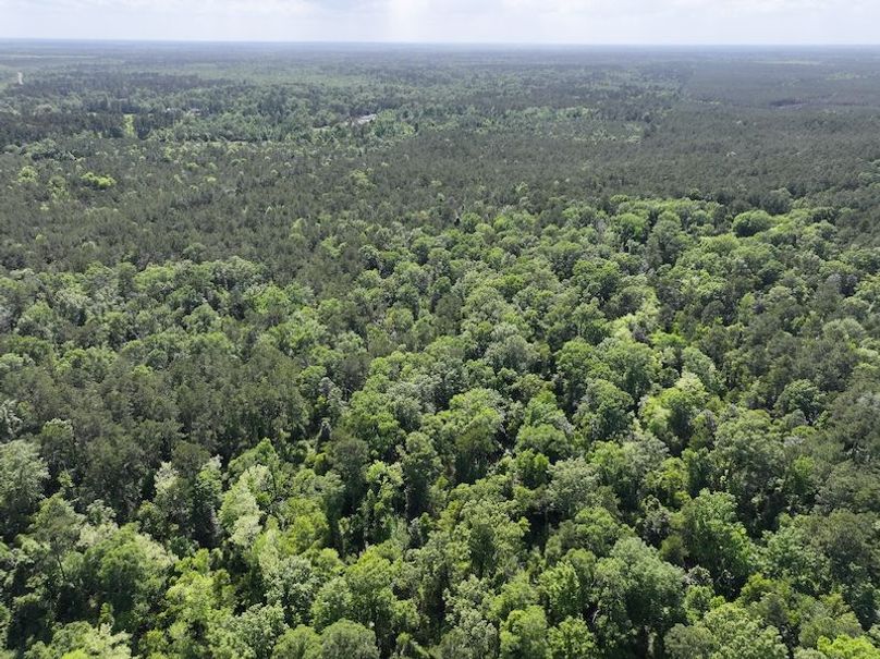 dji_fly_20260413_140724_0044_1776114933010_photo