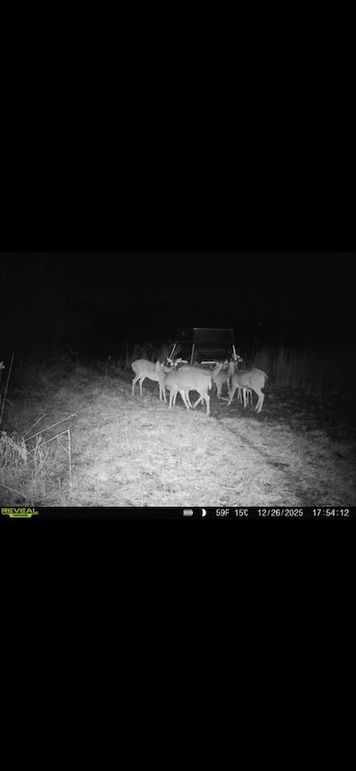 Screenshot 2026-02-27 at 4.00.33 PM