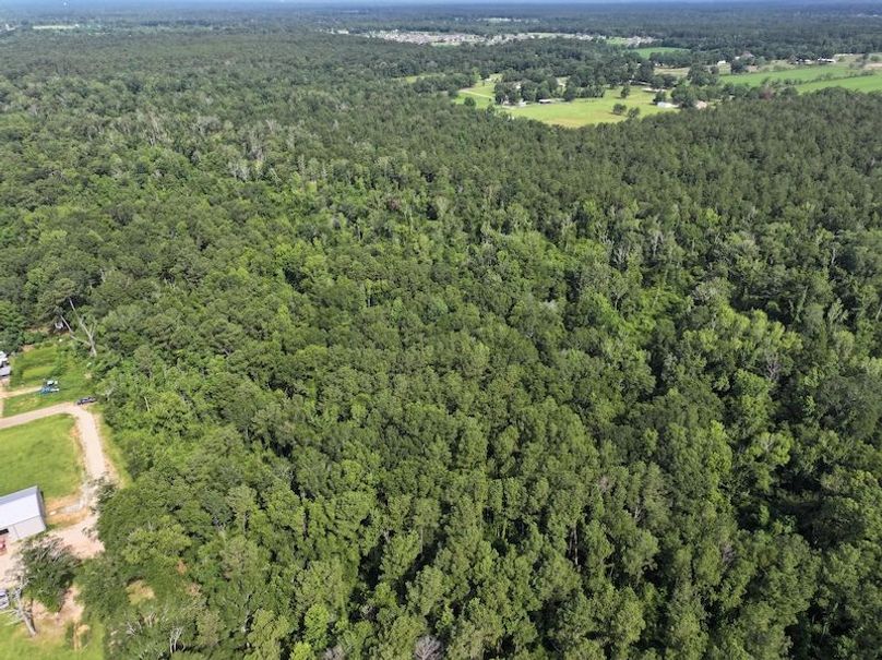 dji_fly_20250624_100800_0139_1750950814990_photo