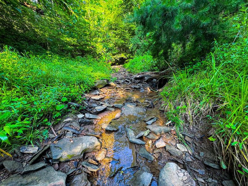 Lewis, WV 82.87 AC Barger-078