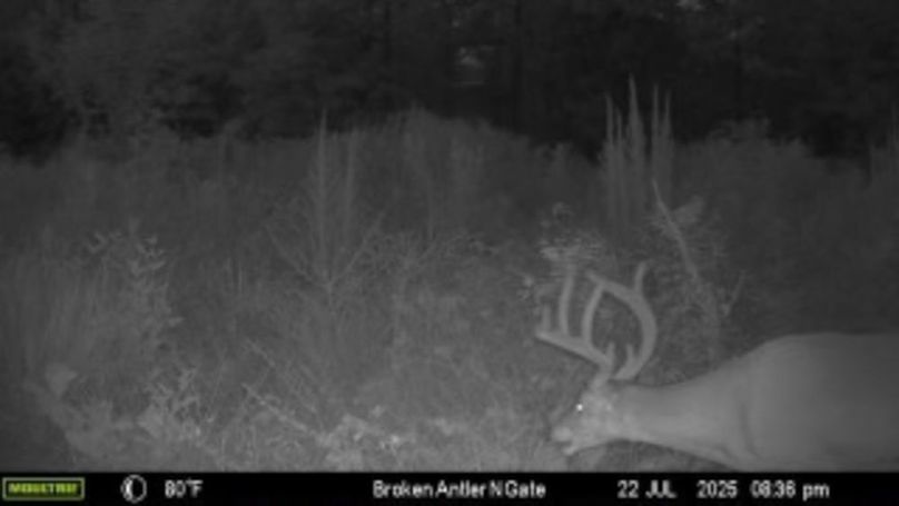 Benton 133.5 Trail Cam-06