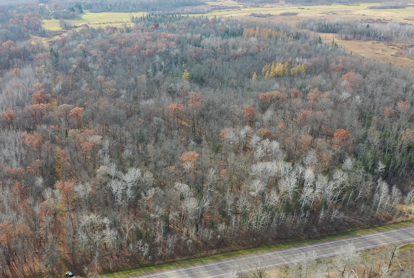 Screenshot 2024-10-28 at 3.03.49 PM