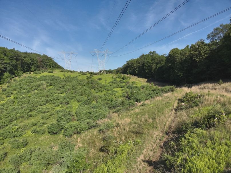 DJI_20240521083100_0010_V