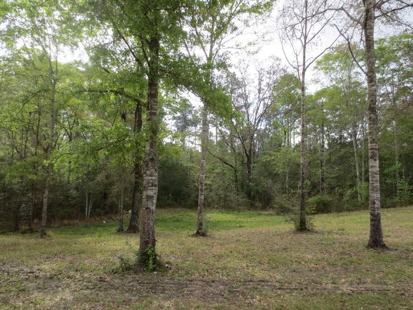 AF893EB2-7BBF-475F-BB53-834B8B14997A_1_105_c