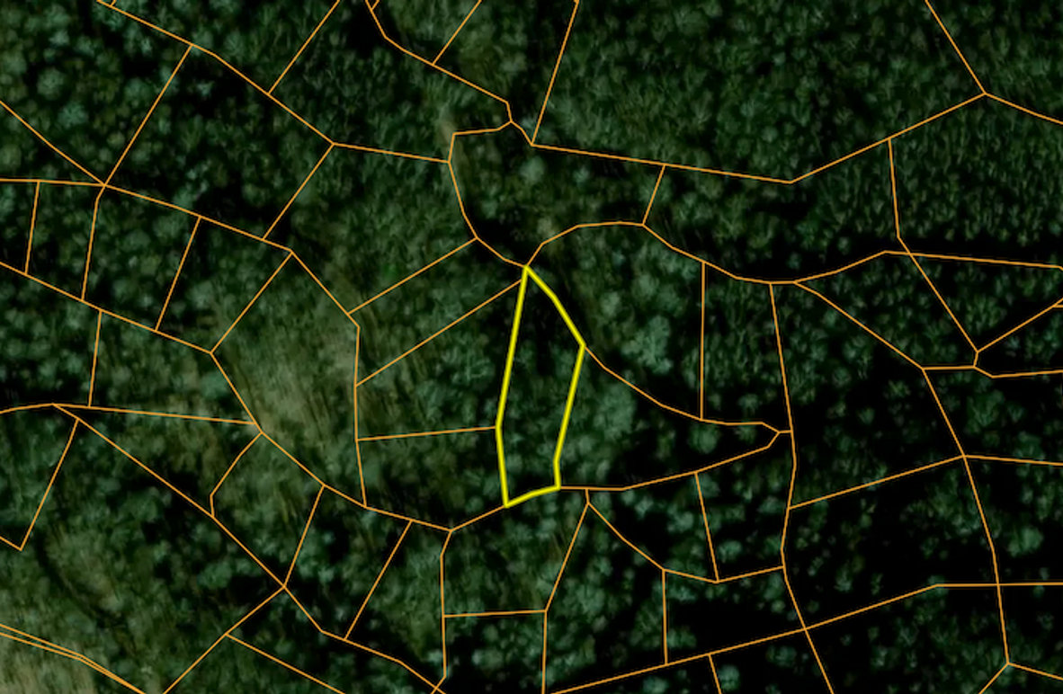 Screenshot 2025-03-19 at 10.47.50 AM