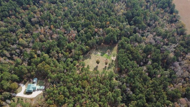 Dal_40_Denton20251113_0342