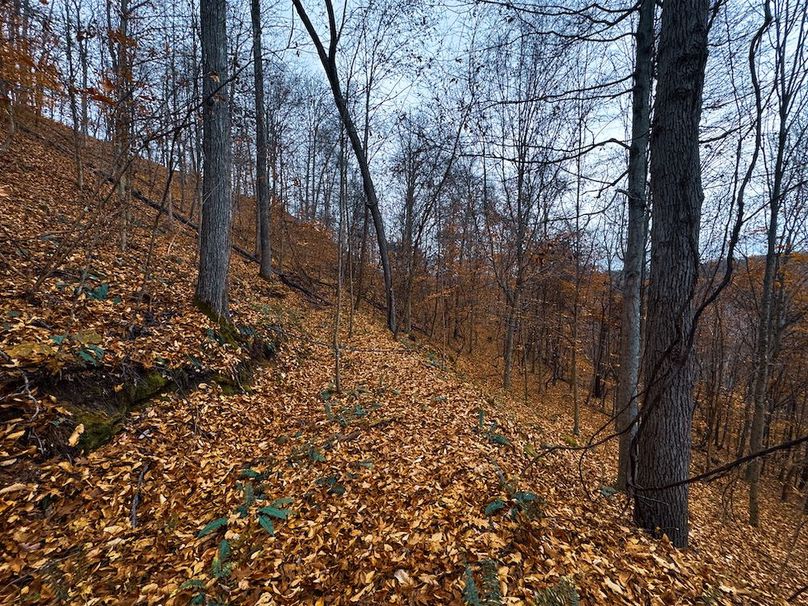 Ritchie, WV 100 AC Harper-17