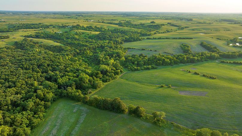 Harrison MO 480 Pro Photo_230 (8)