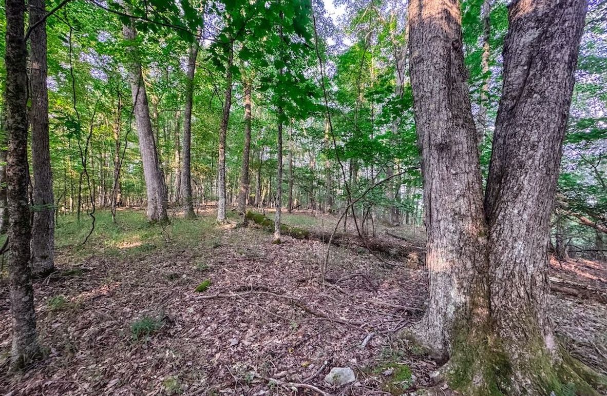 Webster, WV 42 AC Barger-02