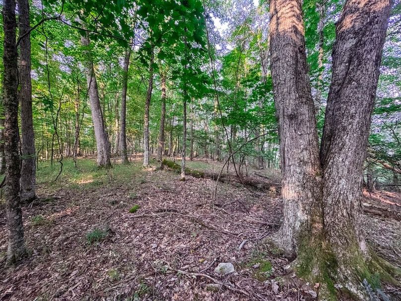 Webster, WV 42 AC Barger-02