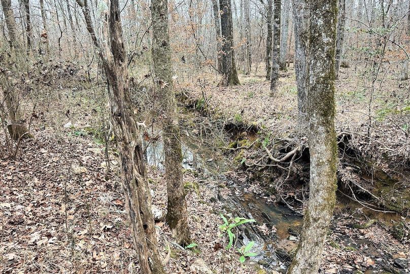 14 Creek