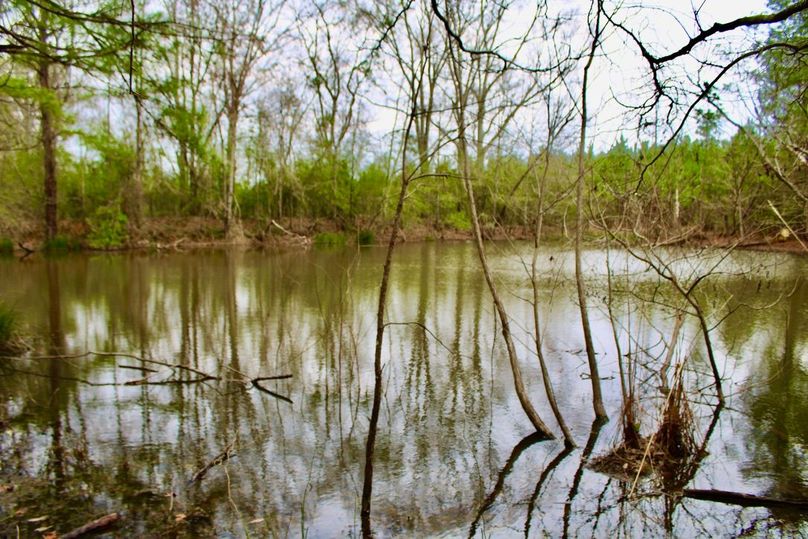 CBA1A737-717C-4FA2-8EAE-CE811DE54C53_1_105_c