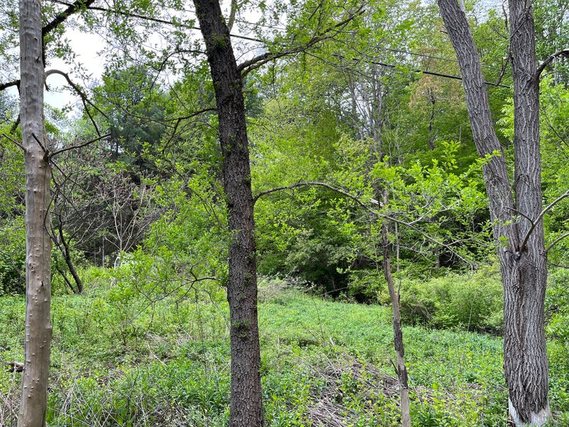 Tioga_18.72_Coulson Photo 50