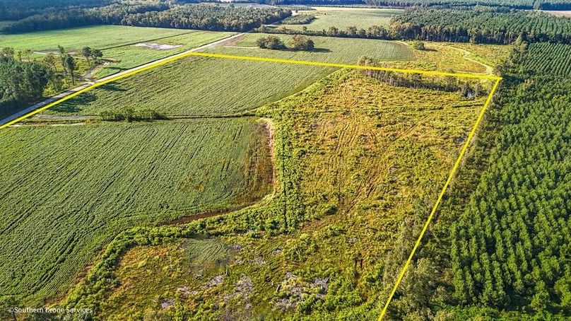DJI_20240927170109_0271_D