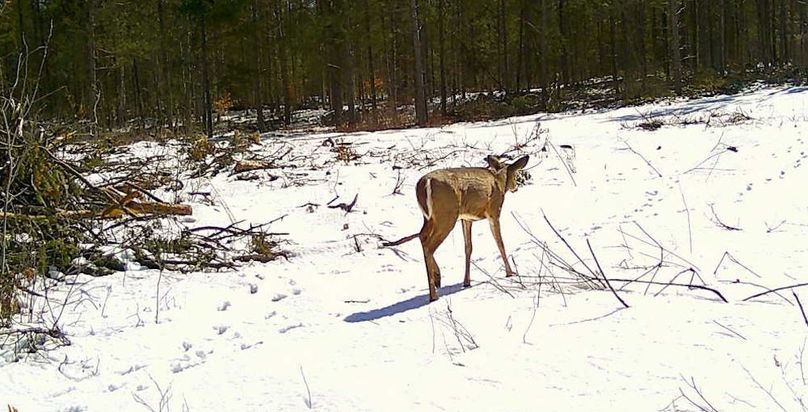 25040511192001002304 (1)