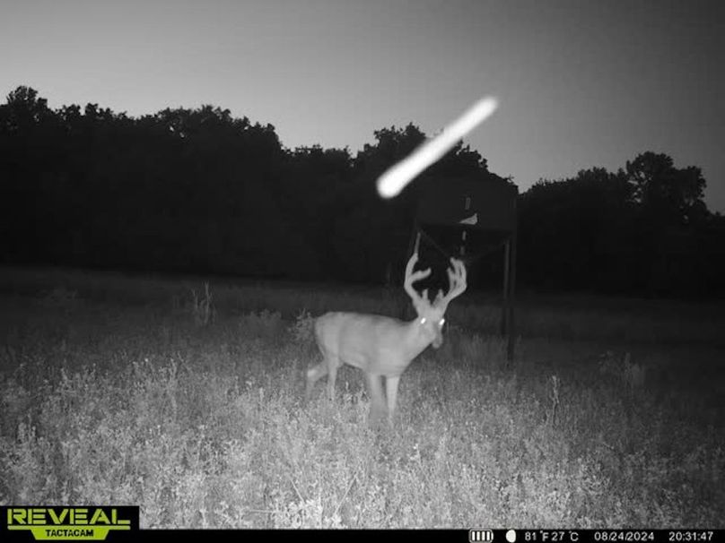 865509050069214-100-2-08242024203158-w1011894