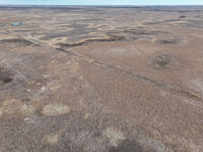 DJI_20241118113117_0319_D