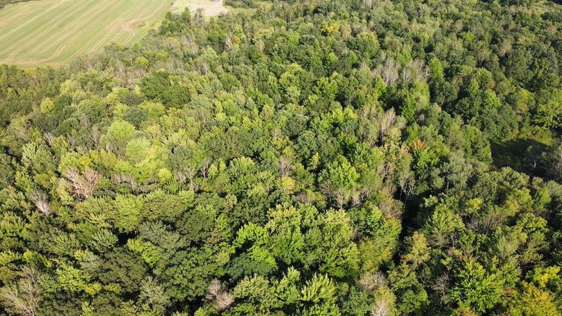 dji_fly_20240826_164152_381_1724709034643_photo_optimized