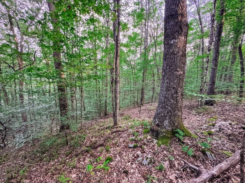 Webster, WV 42 AC Barger-39