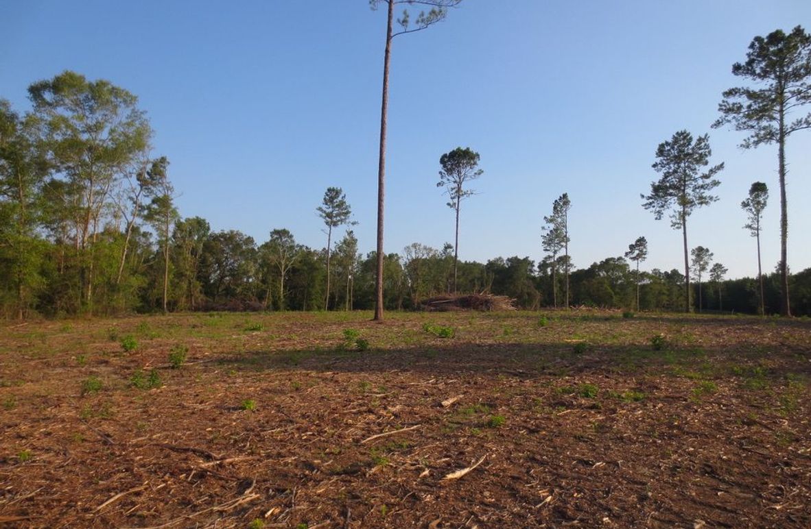 1E93D5C2-8242-47E6-95C8-8D59B1E1AAC1_1_105_c