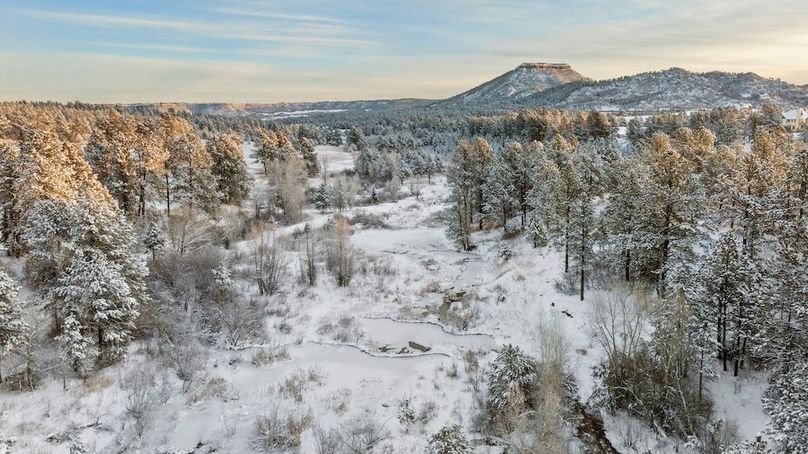 062 - NE VIEW - E PLUM CREEK