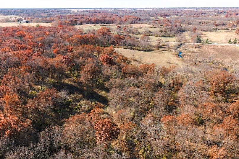 DJI_20251116125046_0183_D